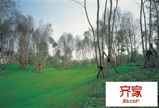 林隱天下別墅實景圖（攝于2011年8月10號）