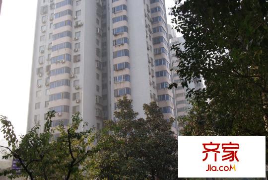 楓葉高層外景圖 