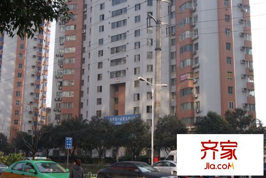 楓葉高層外景圖 