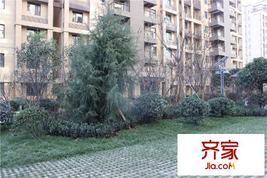 金泰?新理城小區(qū)園林景觀（2015-12-07）