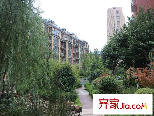 濱河陽光別墅區(qū)綠化配套