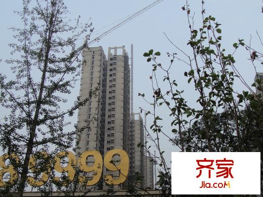 萬科金域華府實(shí)景圖8#樓工程進(jìn)度（2013.10）