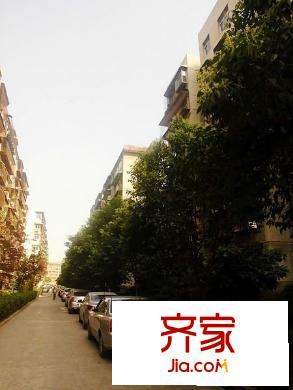 市政府小區(qū)外景圖 