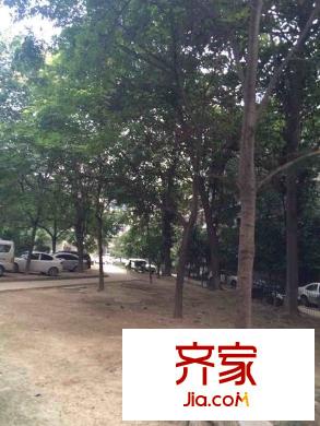 太白小區(qū)北區(qū)外景圖 