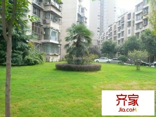 太白小區(qū)北區(qū)外景圖 