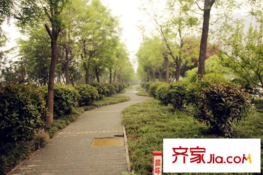融創(chuàng)天朗瓏府周邊西灃路綠化帶