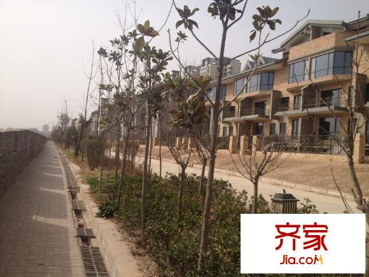 天正?河邊小墅別墅（2013-3-25）