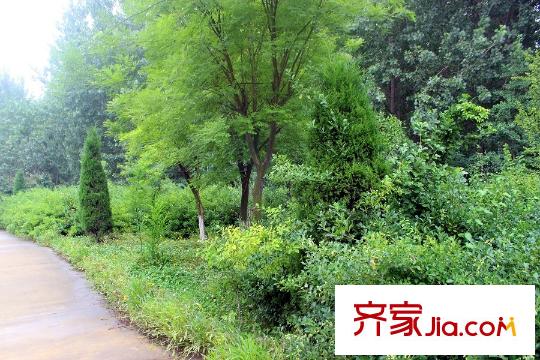 中元御桂園周邊平方米河風(fēng)景