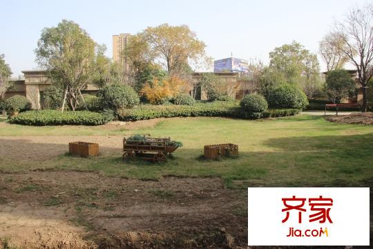 綠地?國際花都營銷中心外景（2015-12-02）
