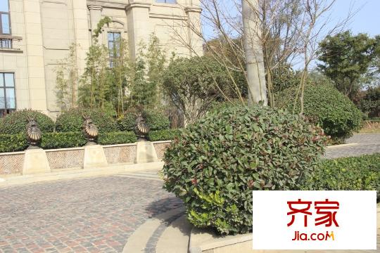 綠地?國際花都營銷中心外景（2015-12-02）