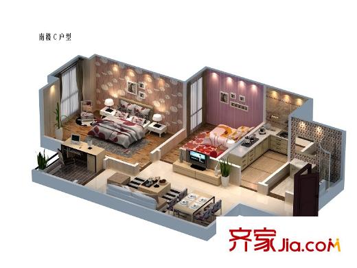金業(yè)觀湖大第南樓C戶型 2室1廳1衛(wèi)1廚