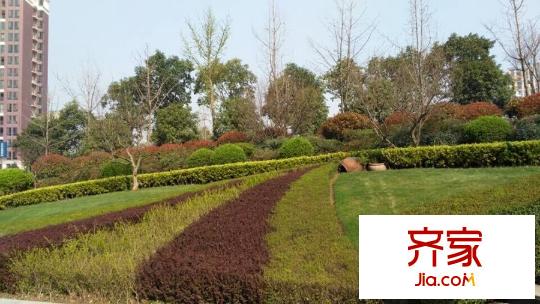 大華曲江公園世家小區(qū)實景（2015-03-29）