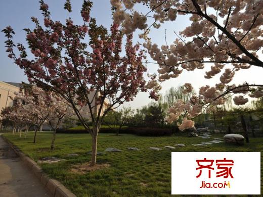 華浮宮桂園小區(qū)內(nèi)園林實(shí)景（2014.2）