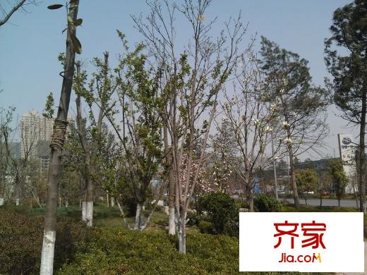 瑞泰卡地亞