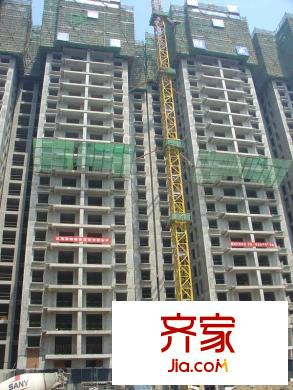 白鹿花園施工進(jìn)度圖（2011.8.1）