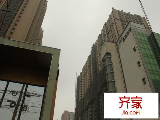 豪頓國際