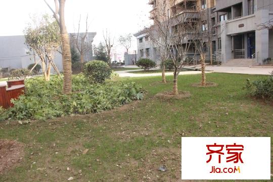 海棠華府園林景觀（2015-12-15）