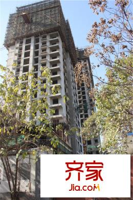 愛馬仕?西西公館工程施工進度圖（2015-12-3）