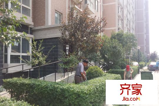 公園新世紀(jì)小區(qū)內(nèi)部綠化（2015.7.9）