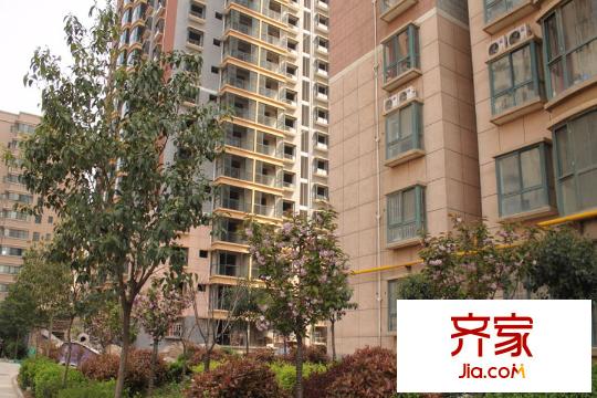 尚東國際城小區(qū)內(nèi)部實(shí)景（2015-12-3）