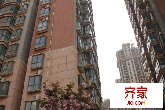 尚東國際城小區(qū)內(nèi)部實景（2015-12-3）