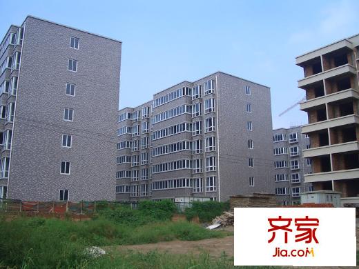 世園茗城2009年8月施工進(jìn)度