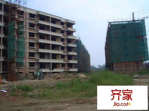 世園茗城2009年8月施工進(jìn)度