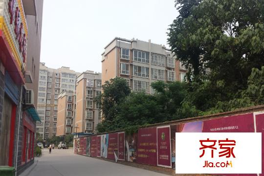 公園新世紀(jì)小區(qū)內(nèi)部（2015.7.9）