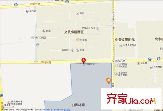 白樺林間1