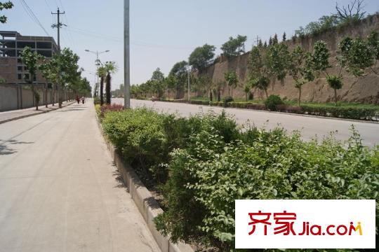 大唐新干線周邊道路