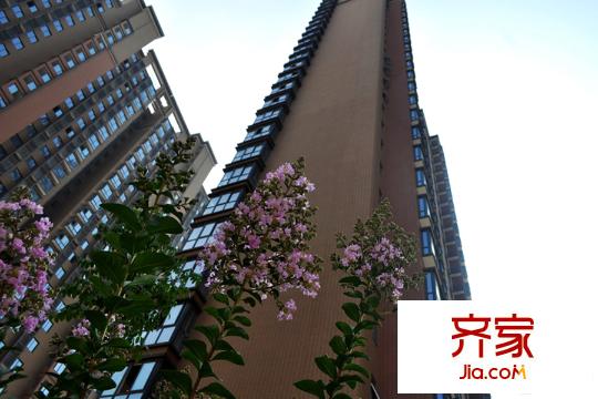 逸景平方米居項(xiàng)目（2015.11.19）