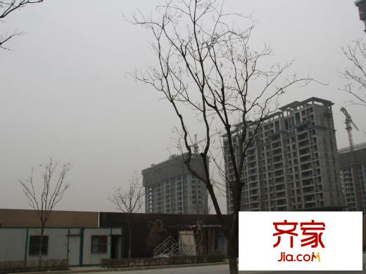 中海?開元壹號3期施工進度（2014.1）