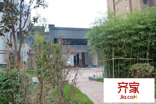 新福興?紐約城小區(qū)內(nèi)景（2015-12-1）