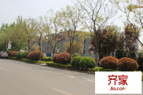 自然界小區(qū)綠化（2015.4.20）