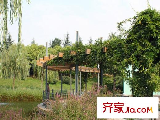 華洲城?熙悅都公園