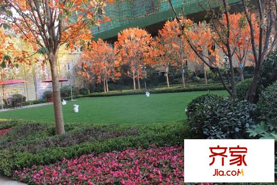 中海?悅墅園林景觀（2015.10.16）