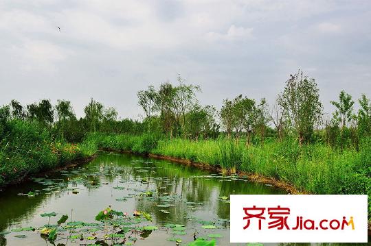 自然界周邊灞河
