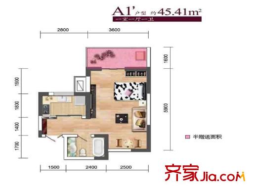 鳳城九號1號樓A1戶型 1室1廳1衛(wèi)1廚