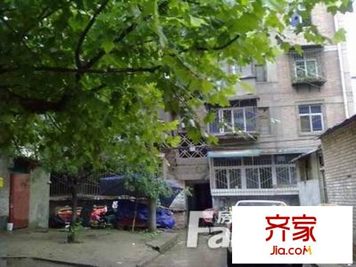 古新巷小區(qū)外景圖 