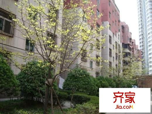南廣濟(jì)街小區(qū)外景圖廣濟(jì)街小區(qū) 