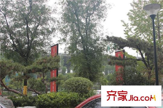 西安星雨華府周邊綠化