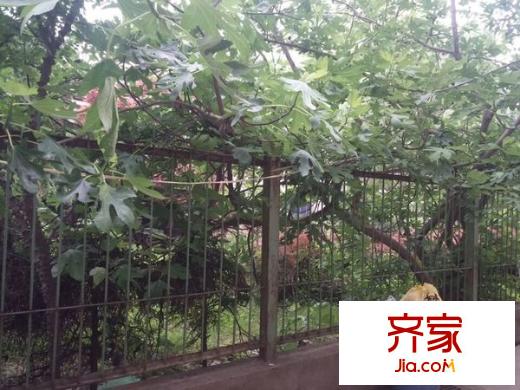 傘塔路體校家屬院外景圖 