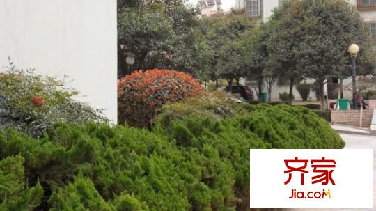 雅荷城市花園外景圖 