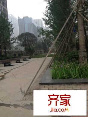 西港雅苑外景圖 