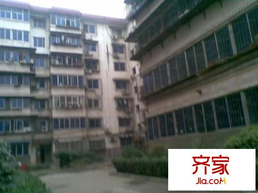 東開元小區(qū)外景圖 