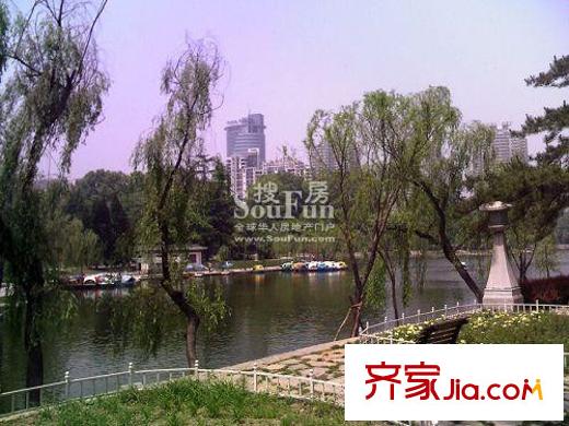 橄欖國際配套圖興慶公園