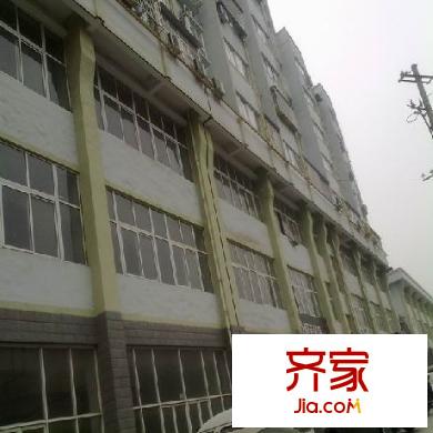 橄欖國際外景圖  