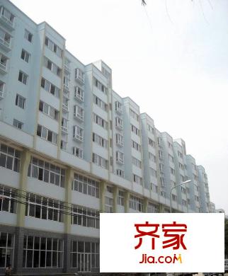 橄欖國際外景圖  