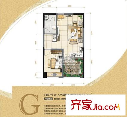 橄欖國際戶型圖G戶型圖 1室1廳1衛(wèi)1廚
