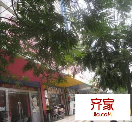 金玉人家